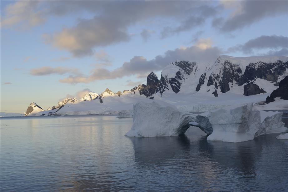 cuverville_pinguine_p40.jpg